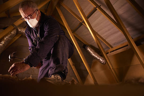 Best Residential Insulation in Salisbury, NY